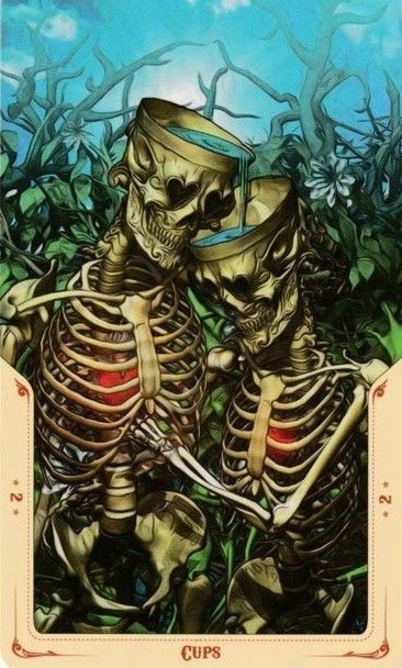 Аркан 2 Кубков