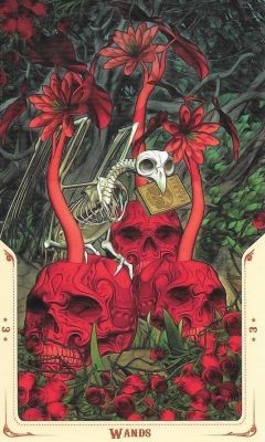 Аркан 3 Жезлов