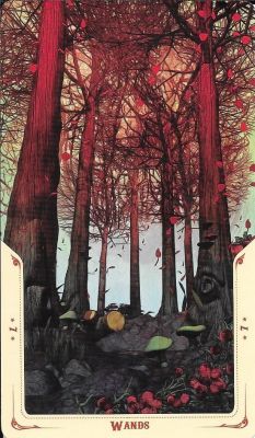 Аркан 7 Жезлов