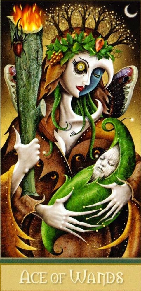 Аркан 1 Жезлов