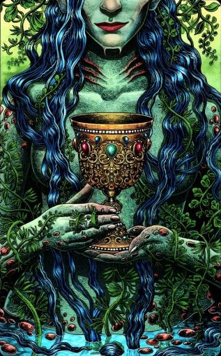 Аркан 1 Кубков