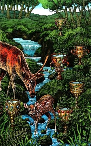 Аркан 6 Кубков